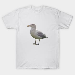 Seagull T-Shirt